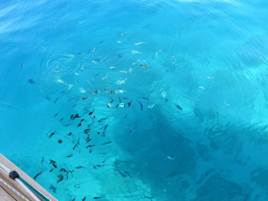 DSC_1822 Vor Anker mit abolut klarem Wasser