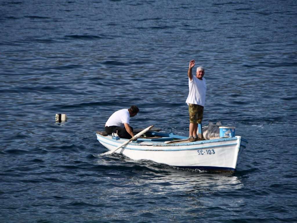 Fischer von Sucuraj