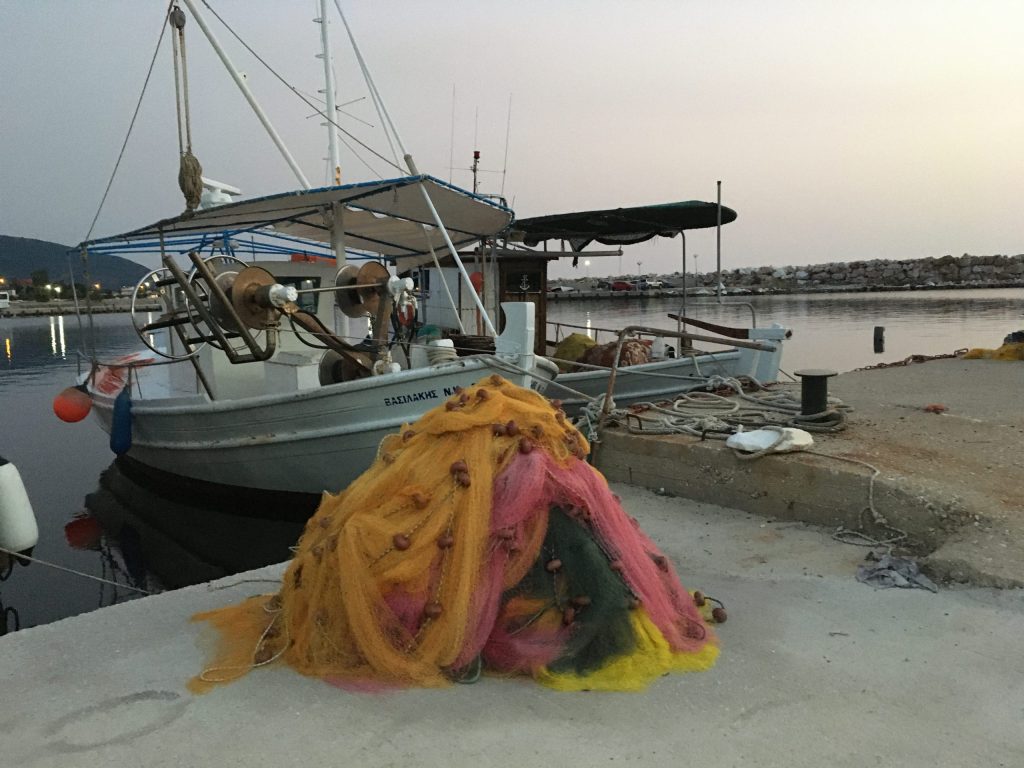 IMG_0260 - Kopie Skyros Fischer