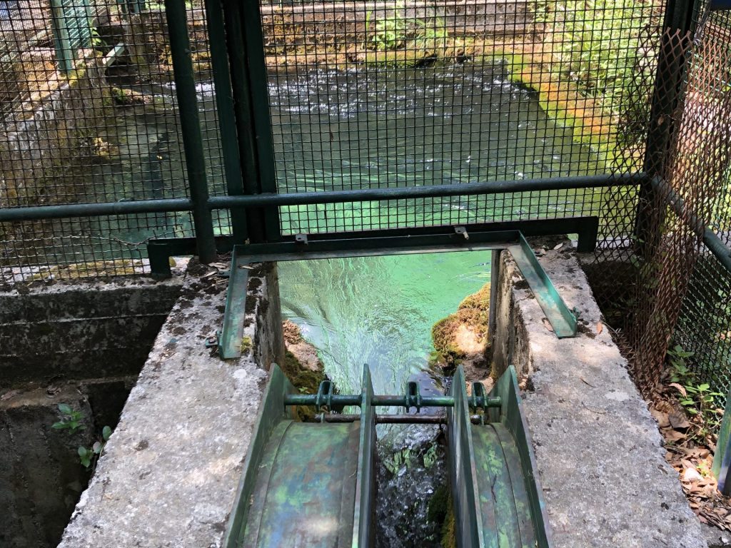 IMG_4060 - Kopie Wasser-Fassung von Kristallklarem Bergbach