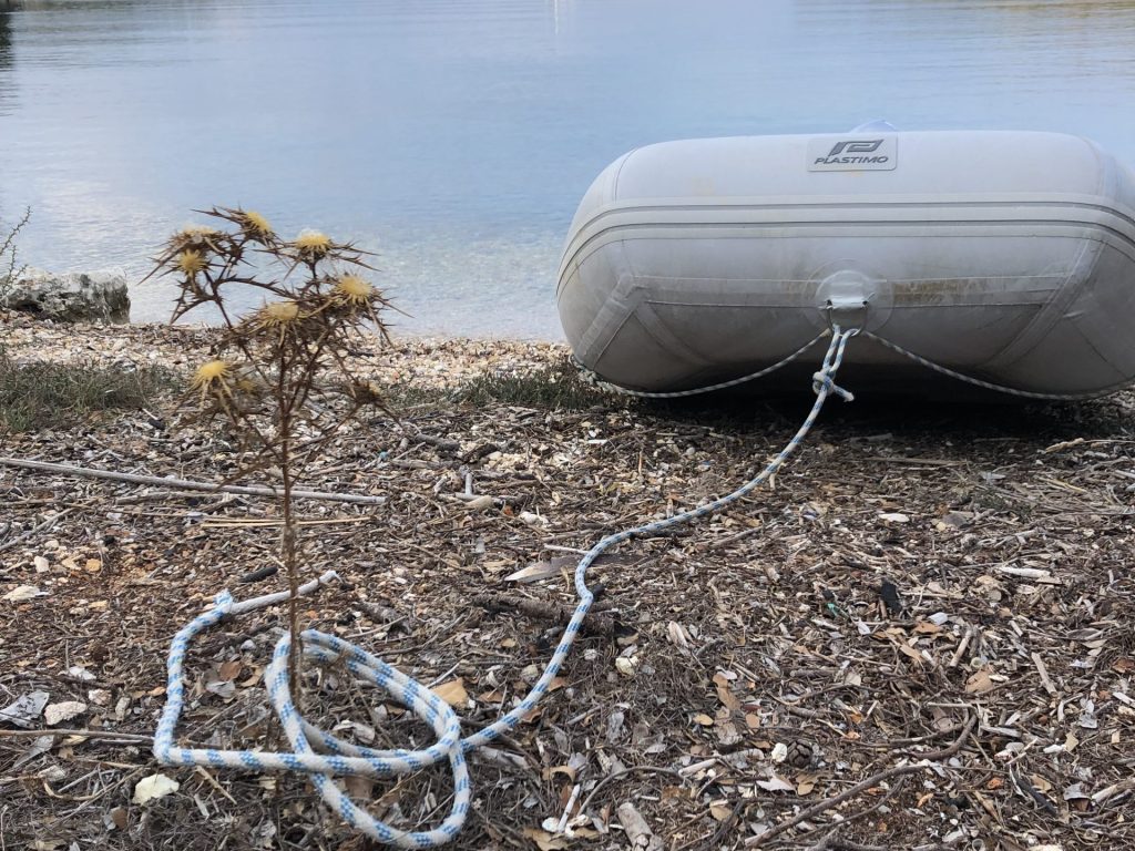 IMG_4384 Dingi sicher belegt