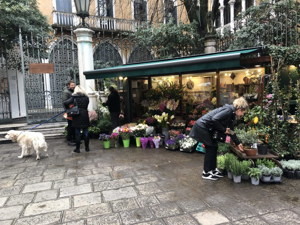 Blumen in Venedig