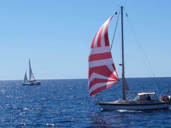 B271A896-FE34-43E9-81FE-CB10BB80A466-86059-00000B41AD500C60